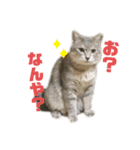 しのぶとこよみとするが（個別スタンプ：3）