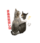 しのぶとこよみとするが（個別スタンプ：14）