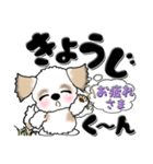 【大きな文字】シーズー犬（自分用）（個別スタンプ：3）