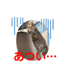 みぃとぅん4（個別スタンプ：3）