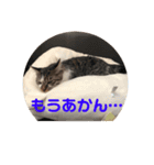 みぃとぅん4（個別スタンプ：8）
