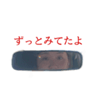 みんなのおたけ①（個別スタンプ：2）