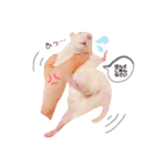 マロのすたんぷ（個別スタンプ：5）
