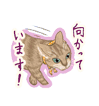 水玉リボンの猫（個別スタンプ：28）