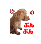愛しのチーPart3（個別スタンプ：5）