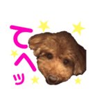 愛しのチーPart3（個別スタンプ：9）