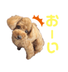 愛しのチーPart3（個別スタンプ：10）