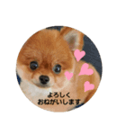 かわいすぎわんこの日常パート2（個別スタンプ：8）