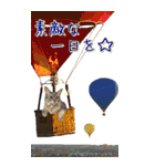 旅猫【BIGスタンプ】（個別スタンプ：5）