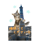 旅猫【BIGスタンプ】（個別スタンプ：7）