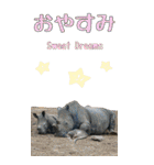 旅猫【BIGスタンプ】（個別スタンプ：15）