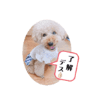 仲良しyummy♪（個別スタンプ：8）