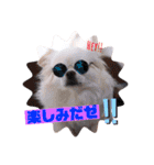 仲良しyummy♪（個別スタンプ：10）
