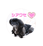 仲良しyummy♪（個別スタンプ：11）