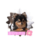 仲良しyummy♪（個別スタンプ：12）
