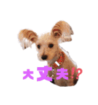 仲良しyummy♪（個別スタンプ：16）