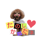 仲良しyummy♪（個別スタンプ：22）