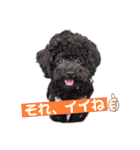 仲良しyummy♪（個別スタンプ：23）