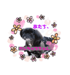 仲良しyummy♪（個別スタンプ：27）