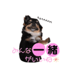 仲良しyummy♪（個別スタンプ：29）