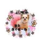 仲良しyummy♪（個別スタンプ：30）