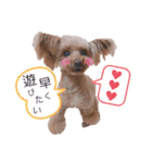 仲良しyummy♪（個別スタンプ：31）