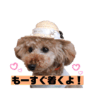 仲良しyummy♪（個別スタンプ：33）