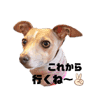 仲良しyummy♪（個別スタンプ：35）