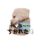 仲良しyummy♪（個別スタンプ：40）