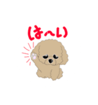 ワンコスタンプN（個別スタンプ：1）