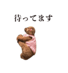 ちょこのごあいさつ2（個別スタンプ：8）