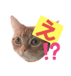 それゆけみぱぷ！season2（個別スタンプ：1）