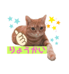 それゆけみぱぷ！season2（個別スタンプ：2）