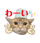 それゆけみぱぷ！season2（個別スタンプ：4）