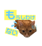 それゆけみぱぷ！season2（個別スタンプ：8）