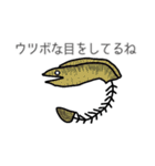 骨になったお魚たちその2（個別スタンプ：1）