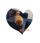かわいすぎわんこの日常（個別スタンプ：1）