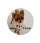 かわいすぎわんこの日常（個別スタンプ：4）