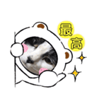 pet.akiyo.ohagi（個別スタンプ：3）