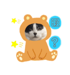 pet.akiyo.ohagi（個別スタンプ：12）