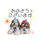 ひまそらちゃん by晩ママ（個別スタンプ：3）