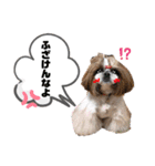 ひまそらちゃん by晩ママ（個別スタンプ：5）