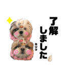 ひまそらちゃん by晩ママ（個別スタンプ：8）