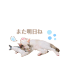 気分屋 まろさん .（個別スタンプ：4）