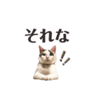 気分屋 まろさん .（個別スタンプ：9）