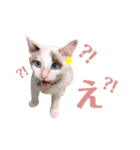 気分屋 まろさん .（個別スタンプ：18）