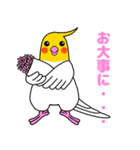 ぴぴぽっぽ（個別スタンプ：20）