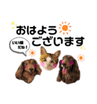 太陽,陽空,珊心ちゃん by晩ママ（個別スタンプ：1）