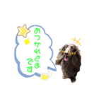 太陽,陽空,珊心ちゃん by晩ママ（個別スタンプ：7）