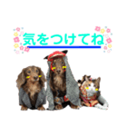 太陽,陽空,珊心ちゃん by晩ママ（個別スタンプ：13）